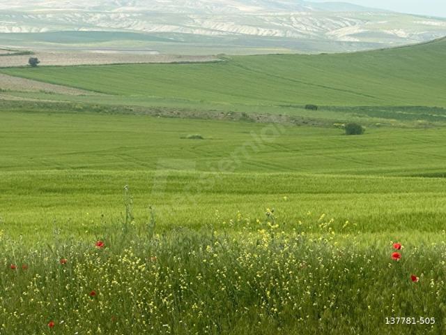Ayaş, Ankara içerisinde satılık Arsa