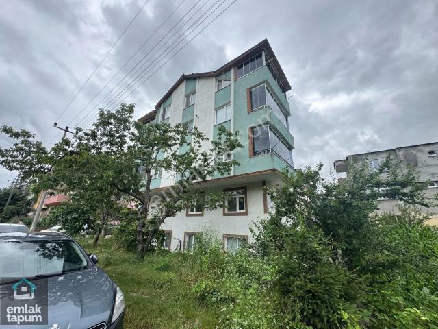 Ordu içerisinde kiralık mülk
