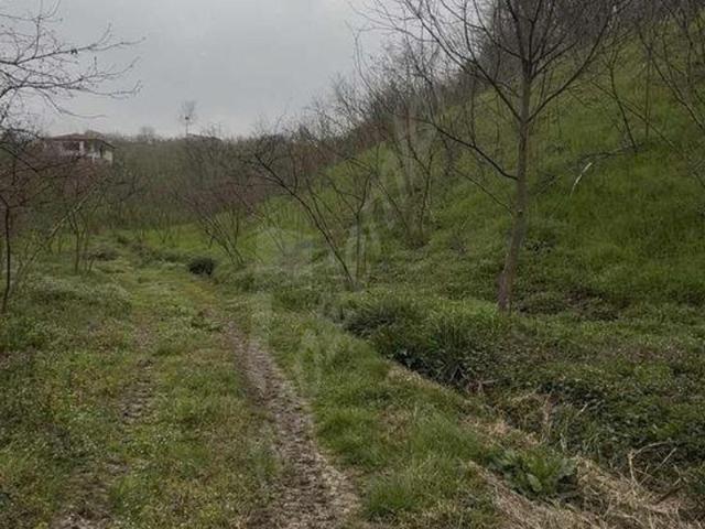 Tuapsalar, Erenler içerisinde satılık Arsa