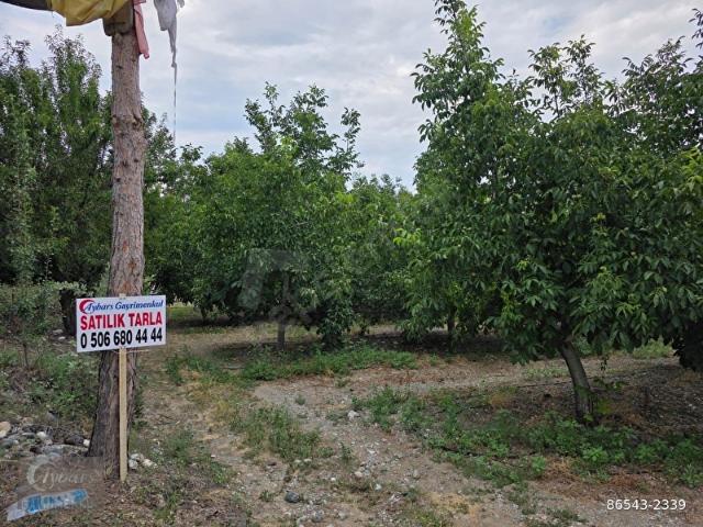 Acipayam, Denizli içerisinde satılık mülk
