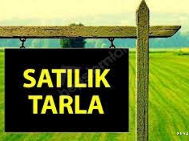 Kabaağaç, Sarayköy içerisinde satılık Arsa