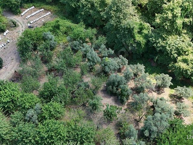 Ballıpınar Mahallesi, Erdek içerisinde satılık Arsa