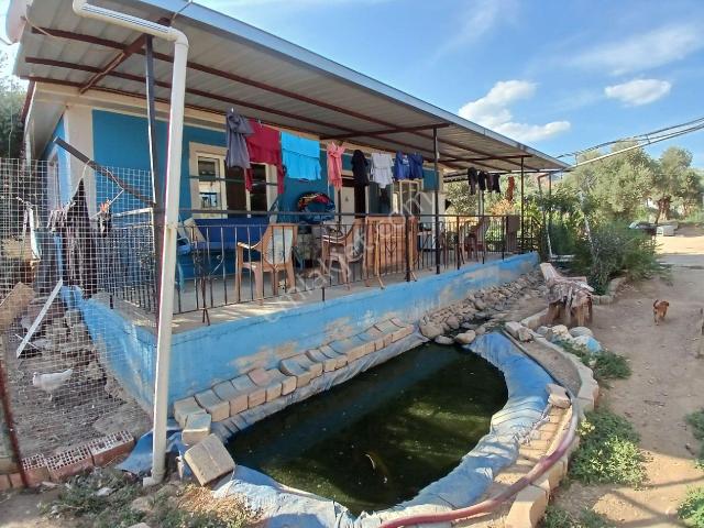 Aydin içerisinde satılık Villa