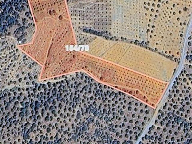 Yenice, Bozdoğan içerisinde satılık Arsa