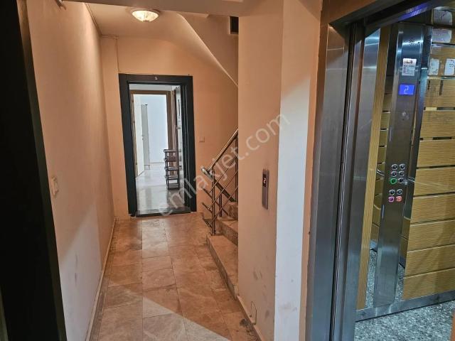 Aydin içerisinde kiralık mülk
