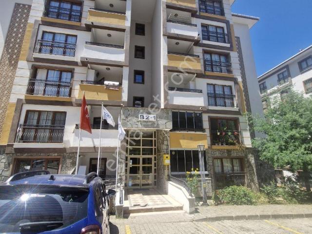Giresun içerisinde kiralık mülk