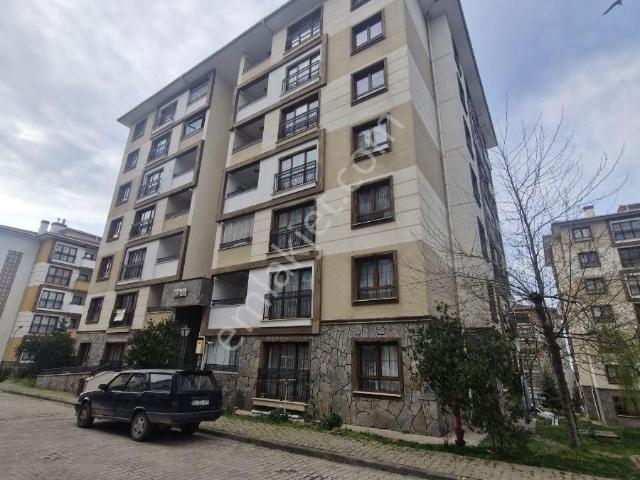Giresun içerisinde kiralık mülk