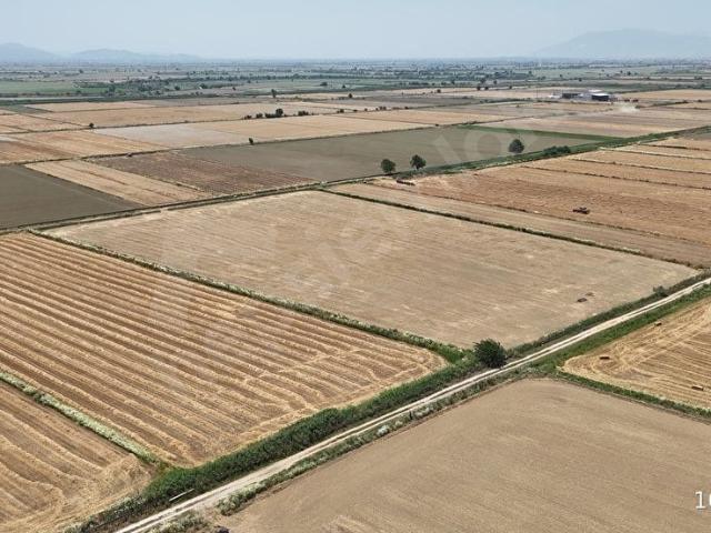 Karaağaçlı, Germencik içerisinde satılık Arsa