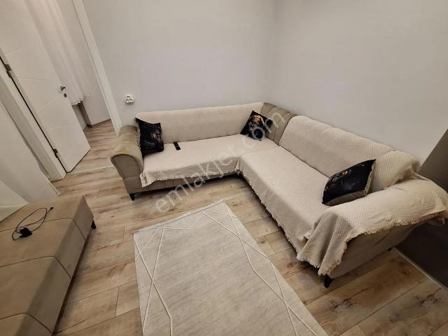 Aydın Merkez, Aydin içerisinde kiralık mülk