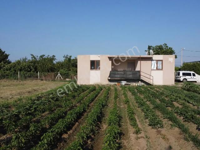Köşk, Aydin içerisinde satılık Villa