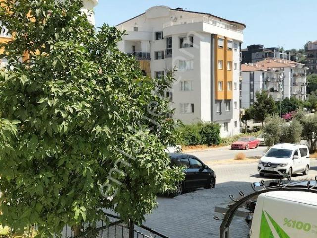 Kuşadasi, Aydin içerisinde kiralık mülk