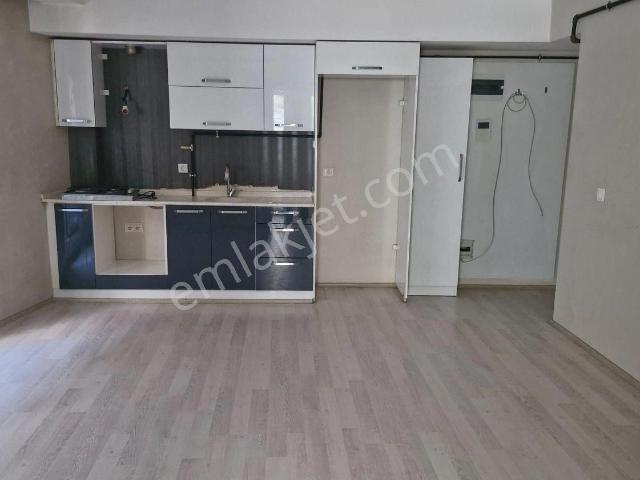 Aydın Merkez, Aydin içerisinde kiralık mülk