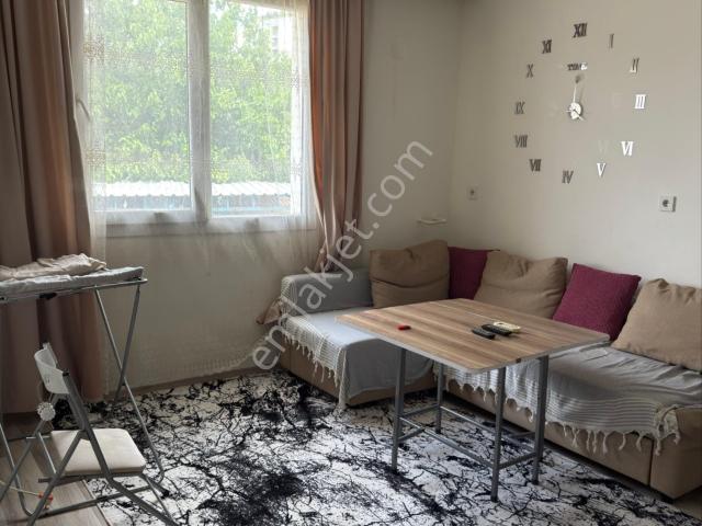Nazilli, Aydin içerisinde kiralık mülk