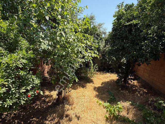 Nazilli, Aydin içerisinde satılık Villa
