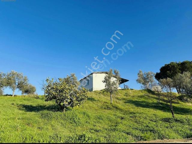 Yenipazar, Aydin içerisinde satılık Villa