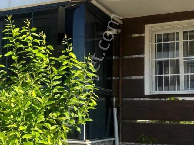 Nazilli, Aydin içerisinde kiralık mülk