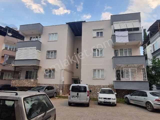 Nazilli, Aydin içerisinde kiralık mülk