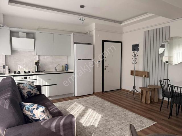 Aydın Merkez, Aydin içerisinde kiralık mülk