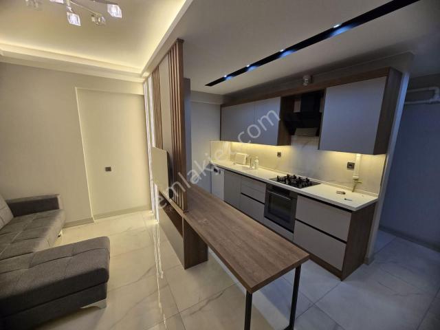 Aydin içerisinde kiralık mülk