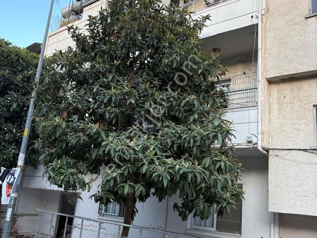 Yenişehir, Mersin içerisinde satılık mülk