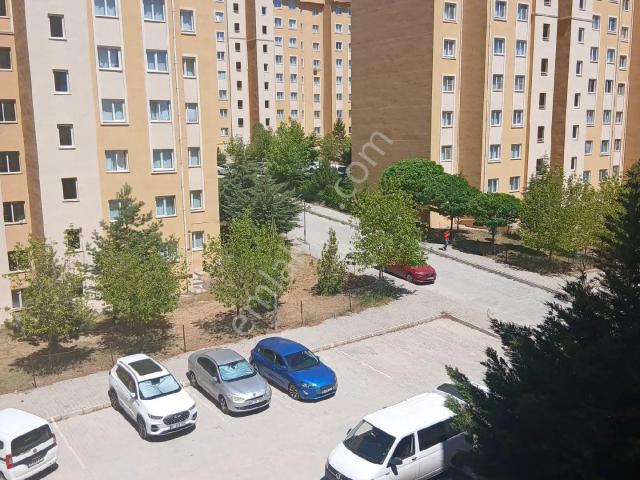 Elazığ Merkez, Elaziğ içerisinde kiralık mülk