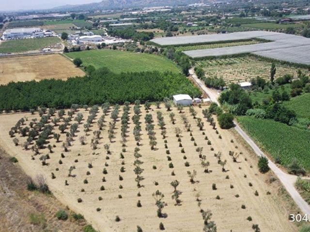 Beyköy, Köşk içerisinde satılık mülk