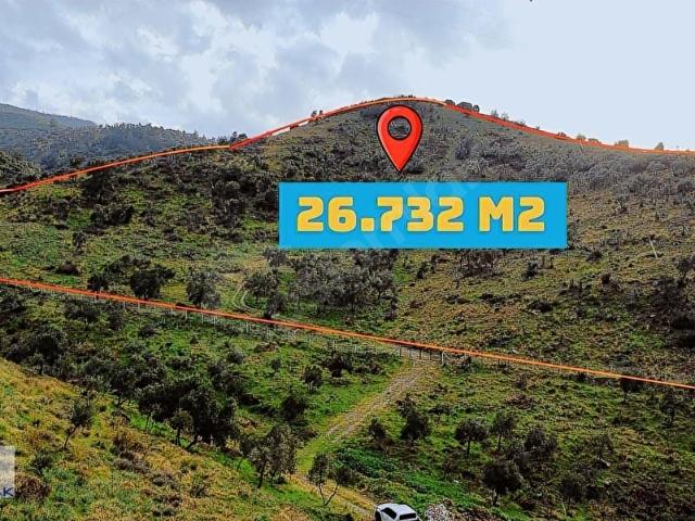 Kozalaklı, Efeler içerisinde satılık mülk