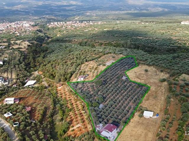 Karacasu, Aydin içerisinde satılık mülk