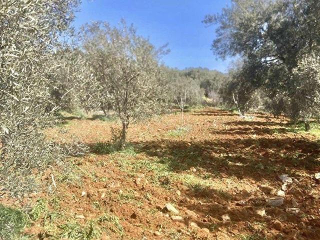 Karacasu, Aydin içerisinde satılık Arsa