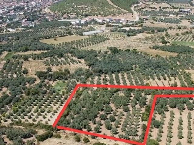 Ataeymir, Karacasu içerisinde satılık mülk