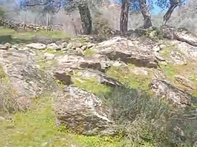 Karpuzlu, Aydin içerisinde satılık mülk