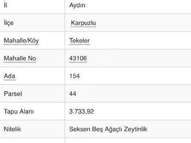 Karpuzlu, Aydin içerisinde satılık mülk