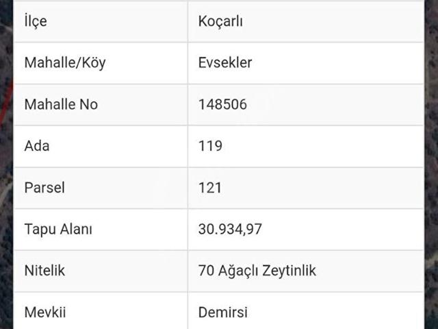 Gözkaya, Koçarlı içerisinde satılık mülk