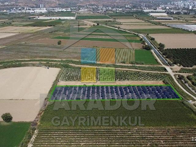 Nazilli içerisinde satılık Arsa