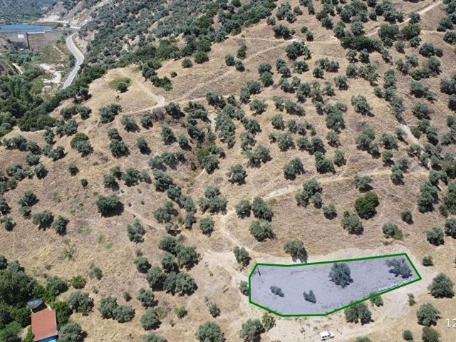 Nazilli, Aydin içerisinde satılık mülk