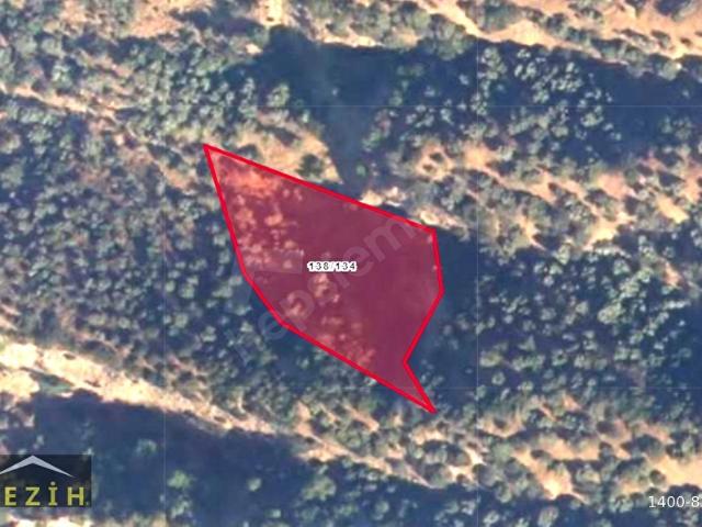 Sultanhisar, Aydin içerisinde satılık mülk