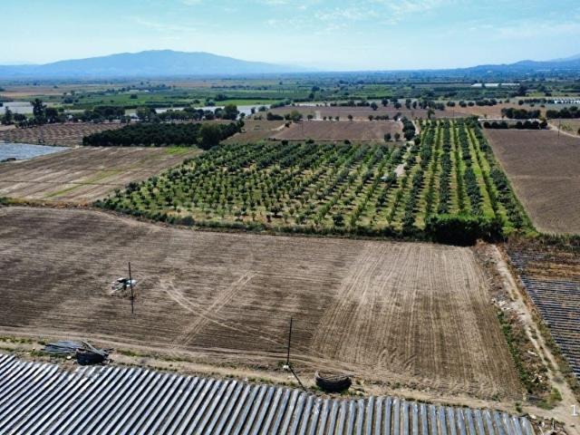 Sultanhisar, Aydin içerisinde satılık Arsa