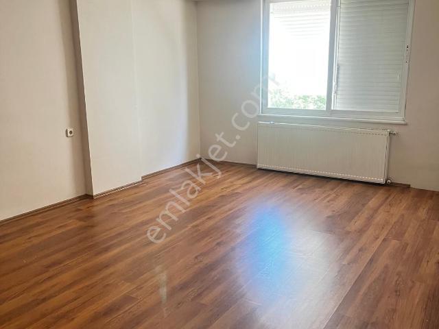 Nazilli, Aydin içerisinde kiralık mülk