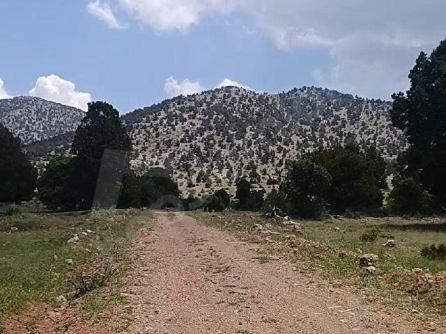Tavas içerisinde satılık Arsa