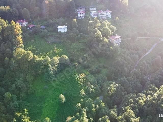 Çayeli, Rize içerisinde satılık Arsa