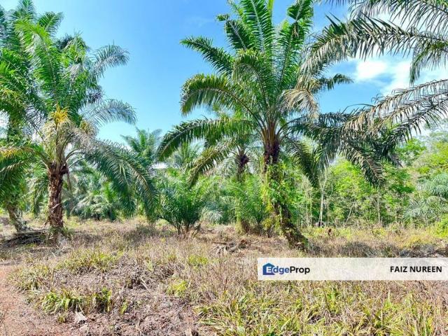 Shop for sale in Ayer Baloi, Pontian