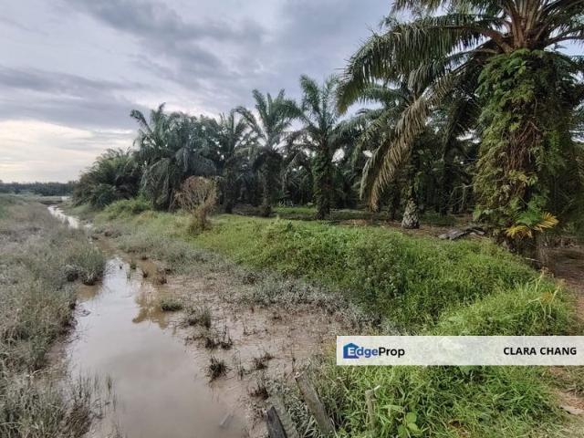 Shop for sale in Pontian, Johor