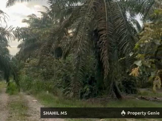 Property for sale in Batu Pahat, Johor