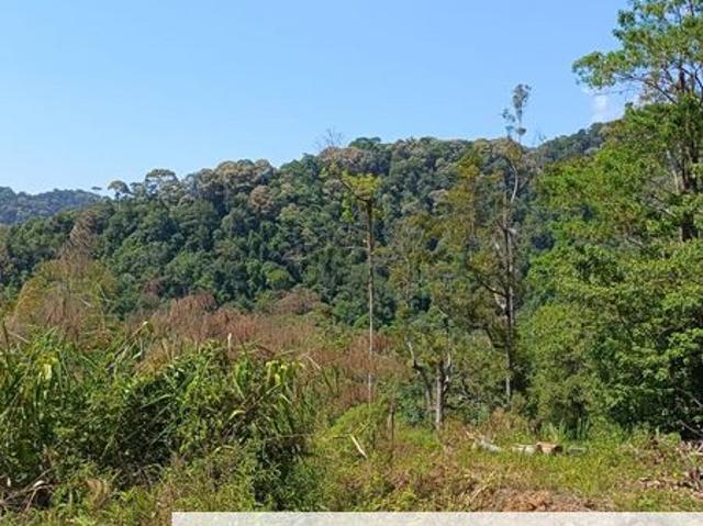 Shop for sale in Mukim 13, Georgetown