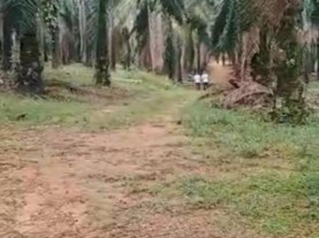 Shop for sale in Ayer Pa'Abas, Malaka