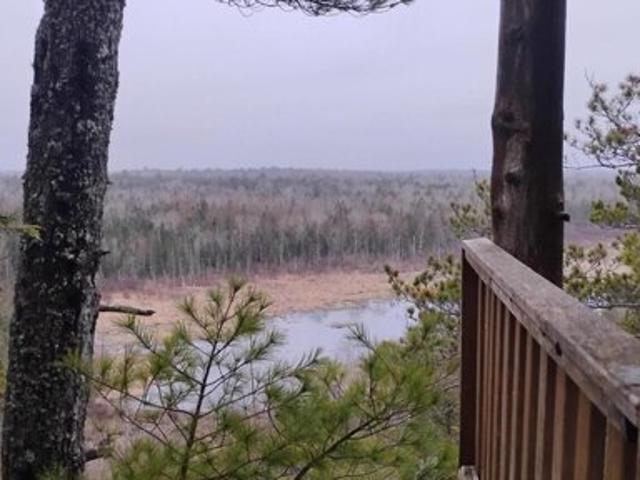 Land for sale in Pembroke, Maine