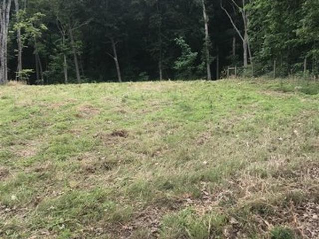 Land for sale in Adolphus, Kentucky