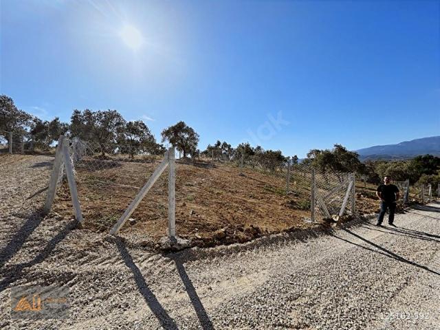 Torbali, İzmir içerisinde satılık mülk