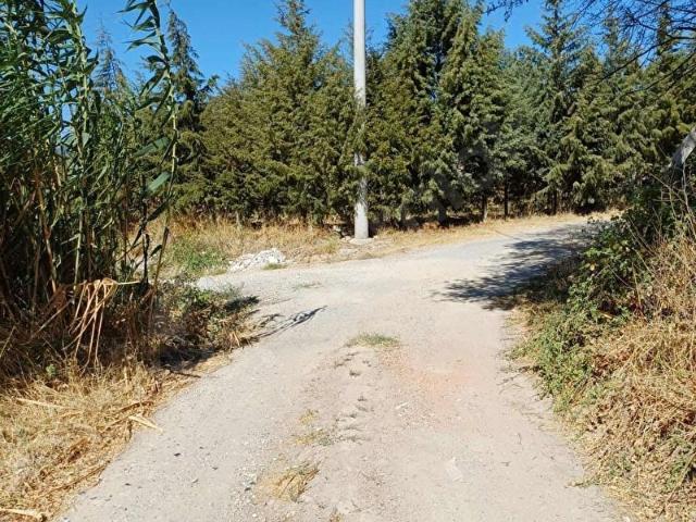 Torbali, İzmir içerisinde satılık mülk