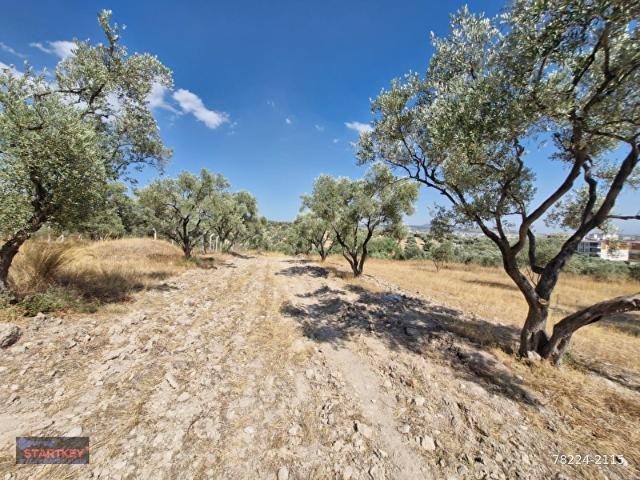 Torbali, İzmir içerisinde satılık Arsa